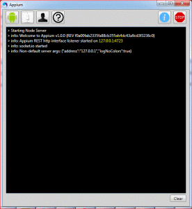 appium_node_server_console