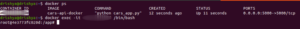 terminal docker execution