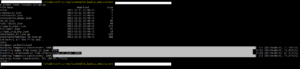 Execution of Neo4j database restore script.